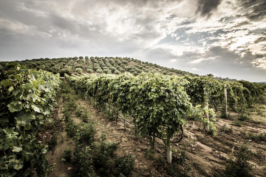 Agriturismo Il Giriatello Crotone Exterior foto