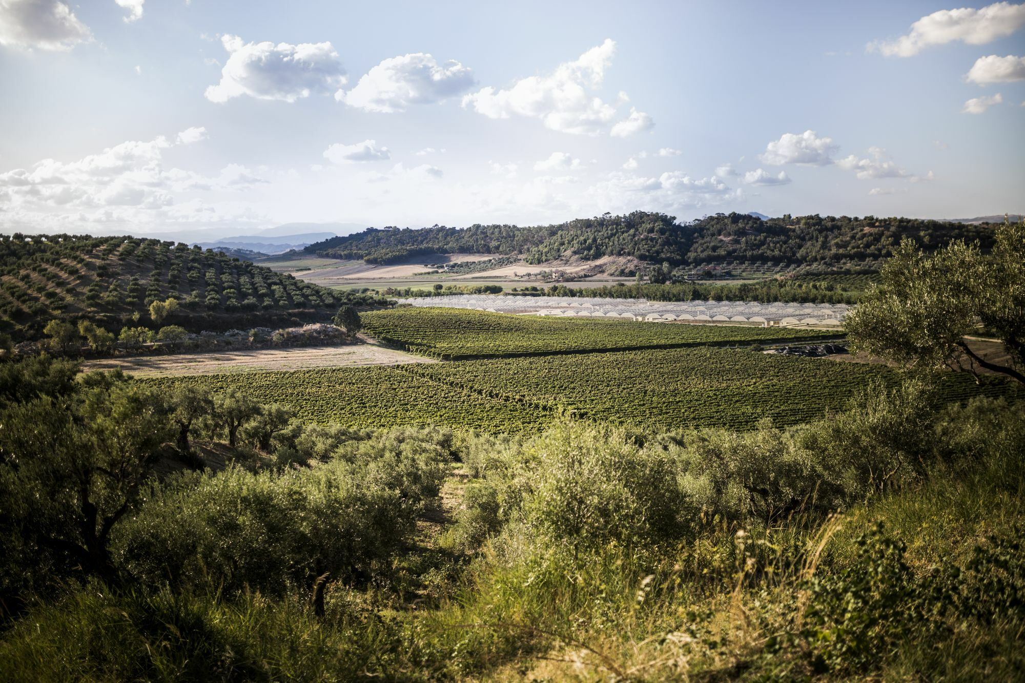 Agriturismo Il Giriatello Crotone Exterior foto