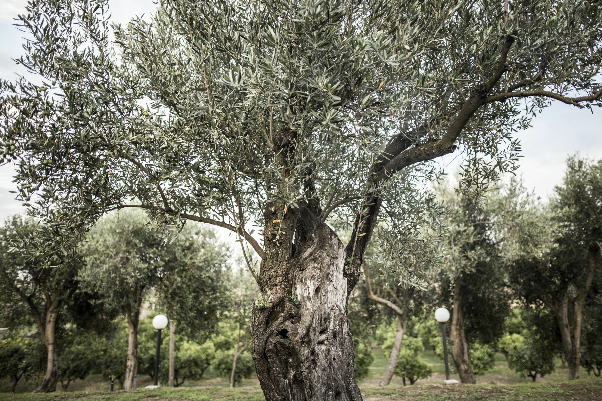 Agriturismo Il Giriatello Crotone Exterior foto